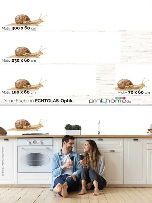 Motiv "Schnecke auf weiß" – Bild 5
