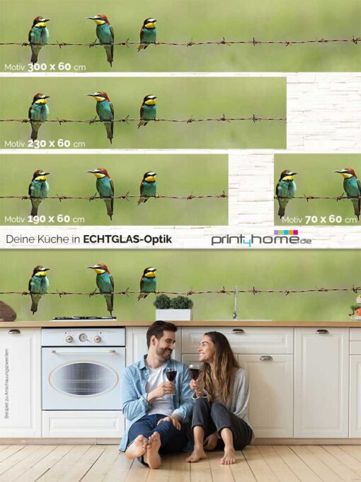 Motiv "Vögel auf Stacheldraht" – Bild 5