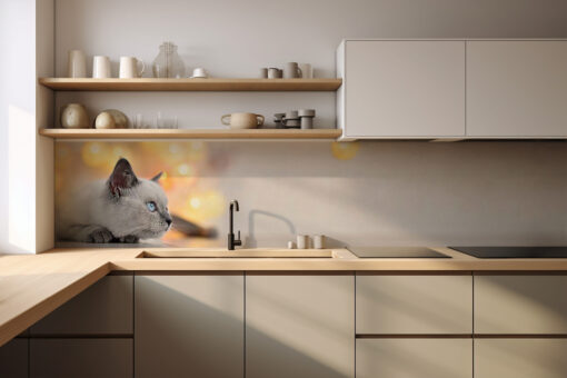 Motiv "Katze mit Leuchtkugeln"