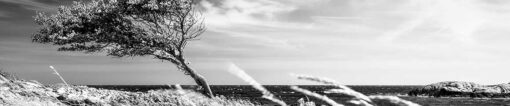 Motiv "Wind am Meer" – Bild 3