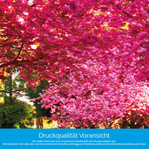 Küchenrückwand "Kirschblüte" – Bild 4