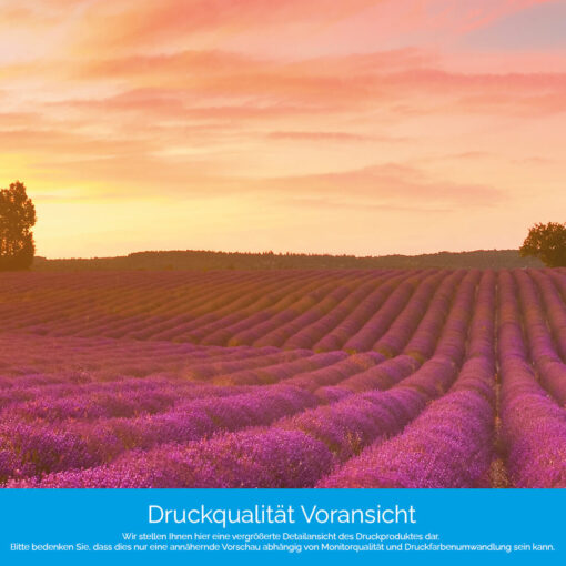 Küchenrückwand "Lavendelfeld" – Bild 4