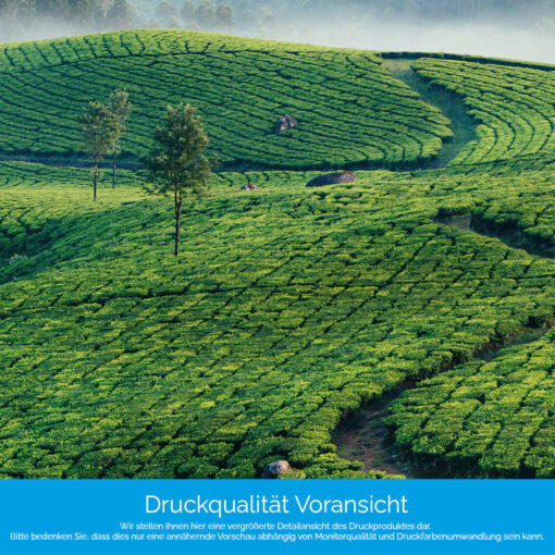 Küchenrückwand "Teeplantagen" – Bild 4