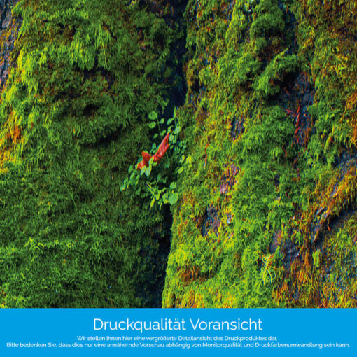 Küchenrückwand "Baumwurzel" – Bild 4
