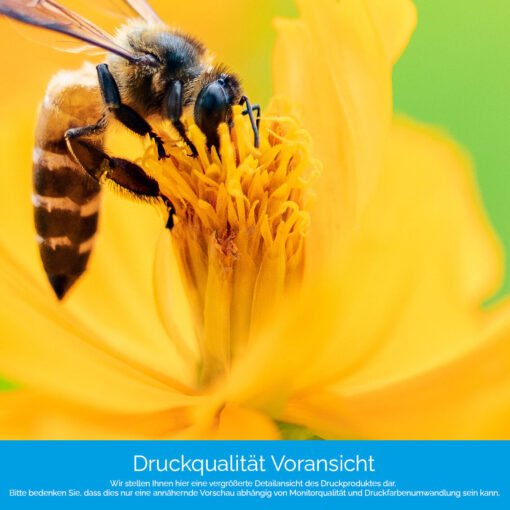 Küchenrückwand "Biene auf Blume" – Bild 4