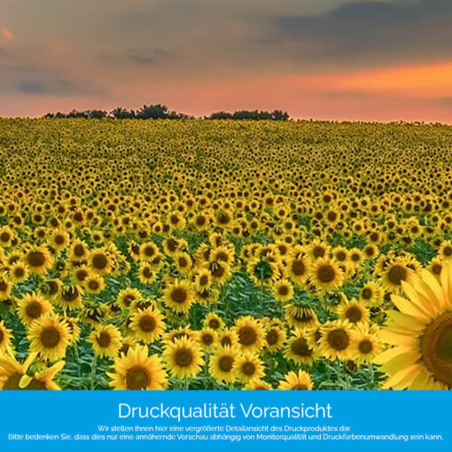 Küchenrückwand "Sonnenblumenwiese" – Bild 4