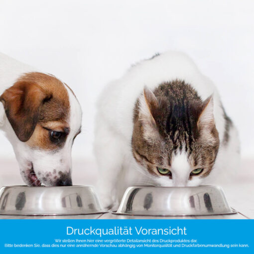 Küchenrückwand "Hund und Katze" – Bild 4