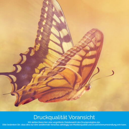Küchenrückwand "Schmetterlinge" – Bild 4