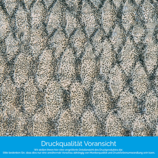 Küchenrückwand "Fischschuppen" – Bild 4