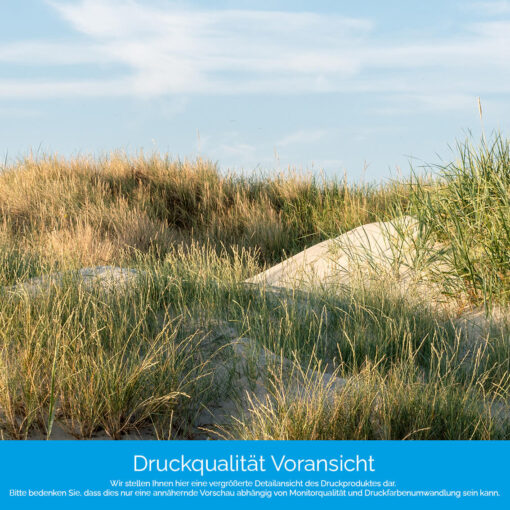 Küchenrückwand "Düne mit Gras" – Bild 4