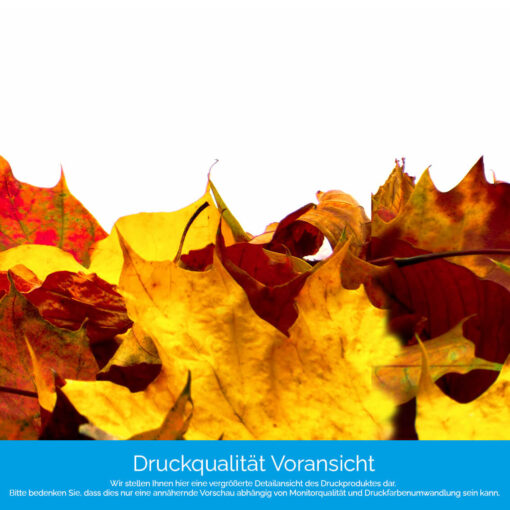 Motiv "Herbstlaub auf Weiß" – Bild 4