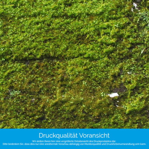 Motiv "Mooswand" – Bild 4