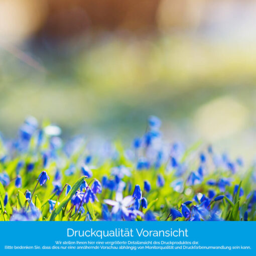 Motiv "Blumenblau" – Bild 4