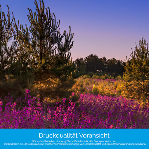 Motiv "Bunte Heide" – Bild 4