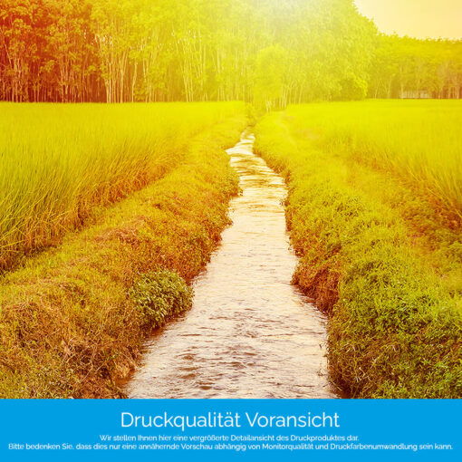 Motiv "Getreide am Bach" – Bild 4