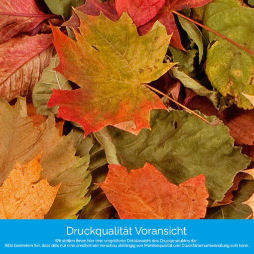 Motiv "Herbstlaub2" – Bild 4