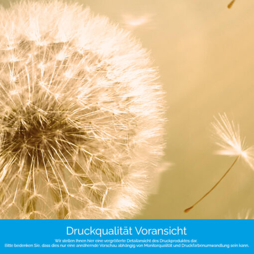 Küchenrückwand "Löwenzahn" – Bild 4