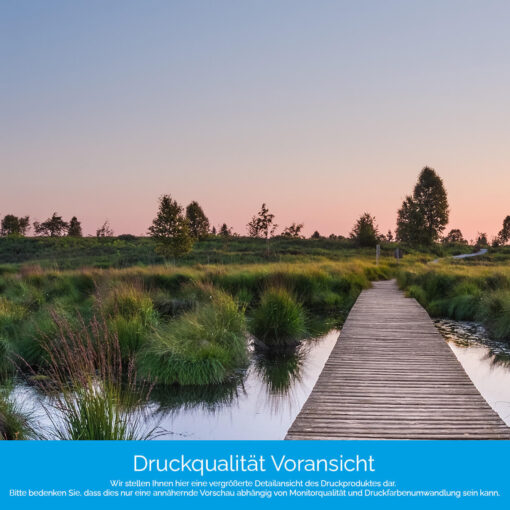 Motiv "Steg durchs Moor" – Bild 4
