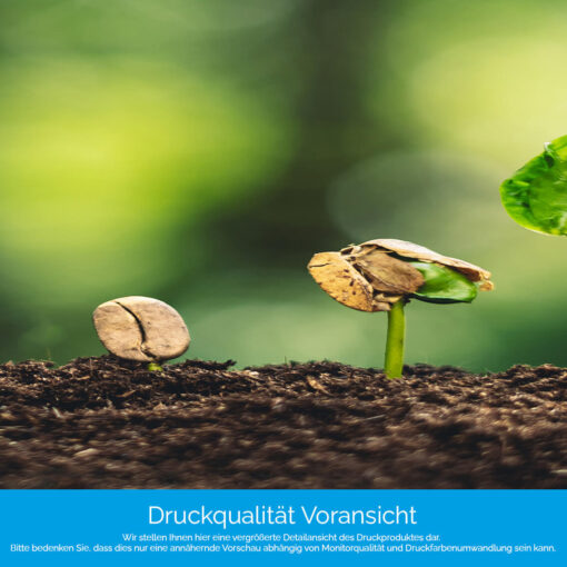 Motiv "Aufgehende Saat" – Bild 4