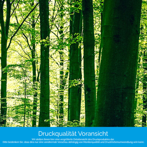 Motiv "Grüner Wald" – Bild 4