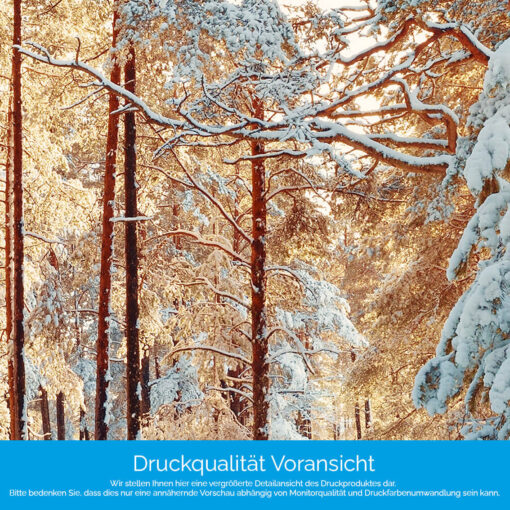 Motiv "Wald im Schnee" – Bild 4