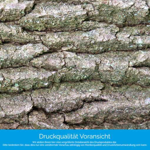 Motiv "Baumrinde" – Bild 4