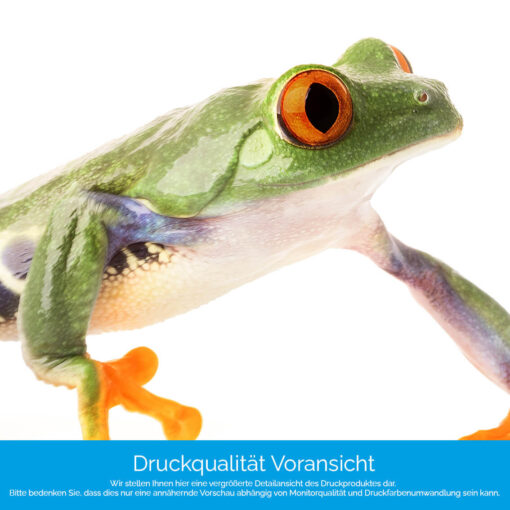 Motiv "Frosch auf Weiß" – Bild 4