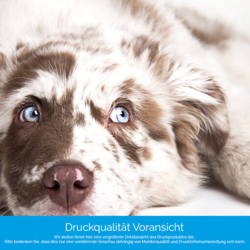 Motiv "Gescheckter Hund" – Bild 4