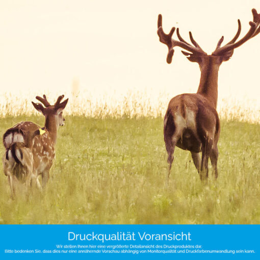 Motiv "Hirschrudel" – Bild 4