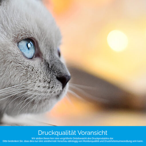 Motiv "Katze mit Leuchtkugeln" – Bild 4