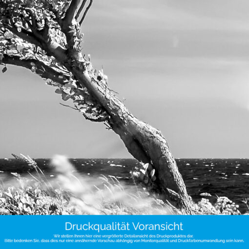 Motiv "Wind am Meer" – Bild 4