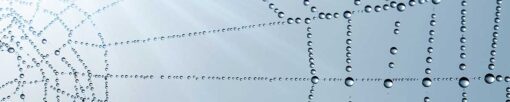 Küchenrückwand "Spinnennetz mit Tau" – Bild 3