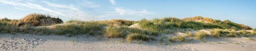 Küchenrückwand "Düne mit Gras" – Bild 3
