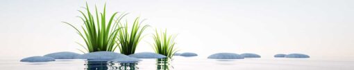 Motiv "Steine, Wasser, Gras" – Bild 3