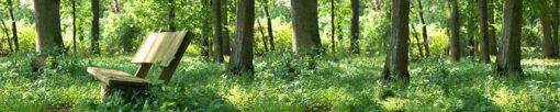 Motiv "Bank im Wald" – Bild 3