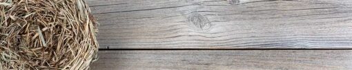 Motiv "Holzbrett mit Vogelnest" – Bild 3
