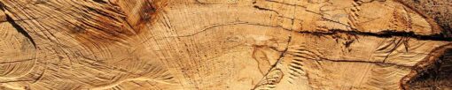 Motiv "Holzscheibe 1" – Bild 3