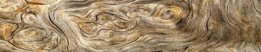 Motiv "Holzscheibe 2" – Bild 3