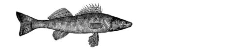 Motiv "Fischgrafik" – Bild 3