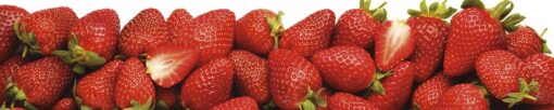 Motiv "Erdbeeren" – Bild 3