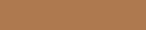 Bunt 1011 Braunbeige – Bild 3